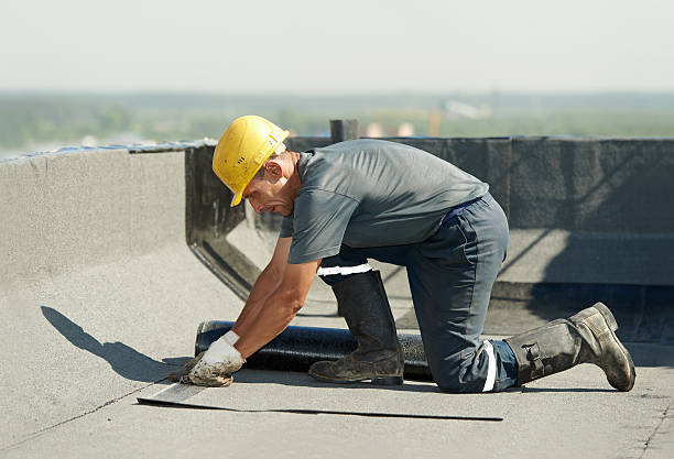 Professional Insulation Contractor in SC